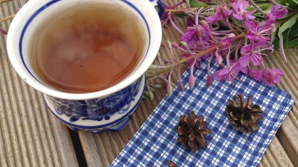 Как приготовить чай кипрей