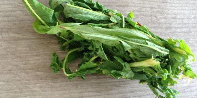 Рецепт чая кипрей