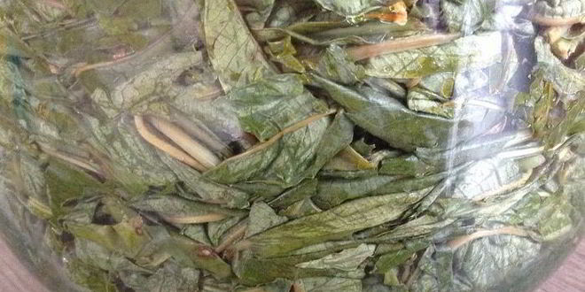 Рецепт чая кипрей