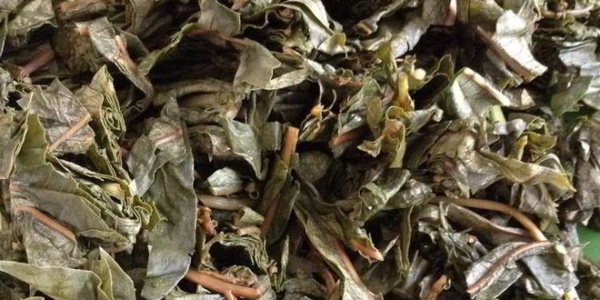 Рецепт чая кипрей