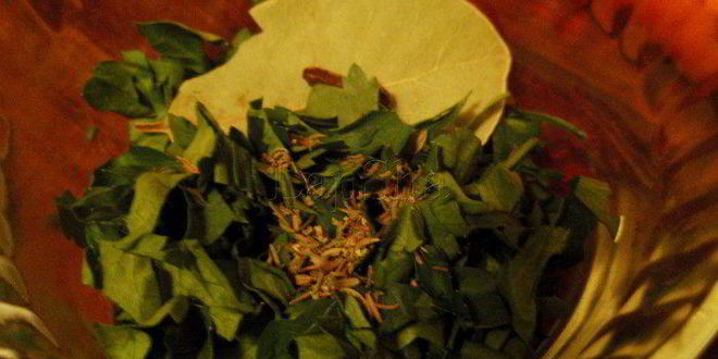 Рецепт говядины тушенной с овощами