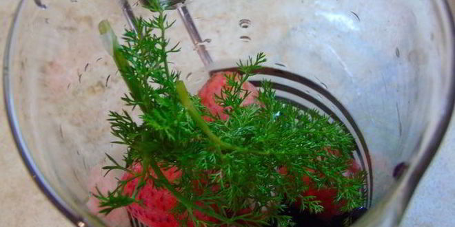 Рецепт клубнично-смородинового чай с фенхелем