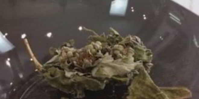 Рецепт успокоительного чая