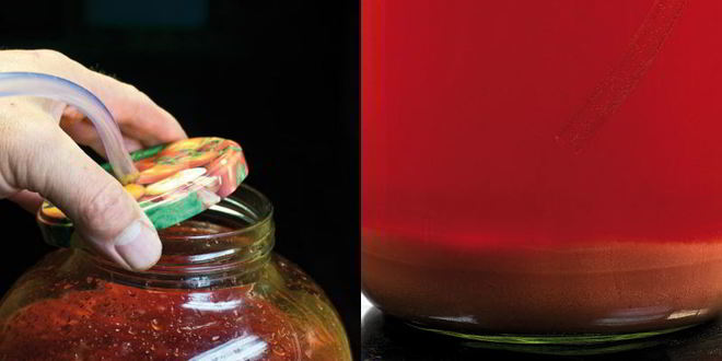 Рецепт домашнего вина из клубники