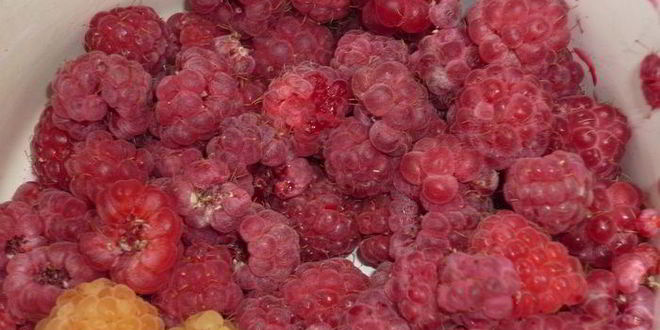 Рецепт дедушкиного любимого киселя