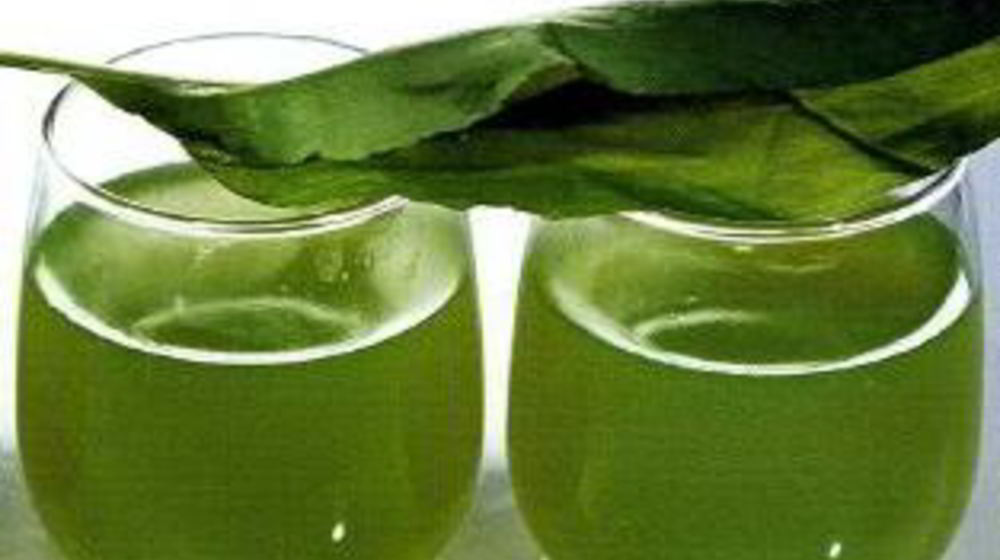 Как приготовить кисель из щавеля