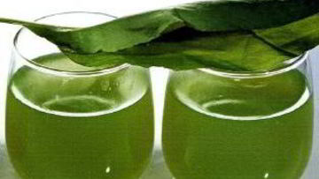 Рецепт Киселя из щавеля