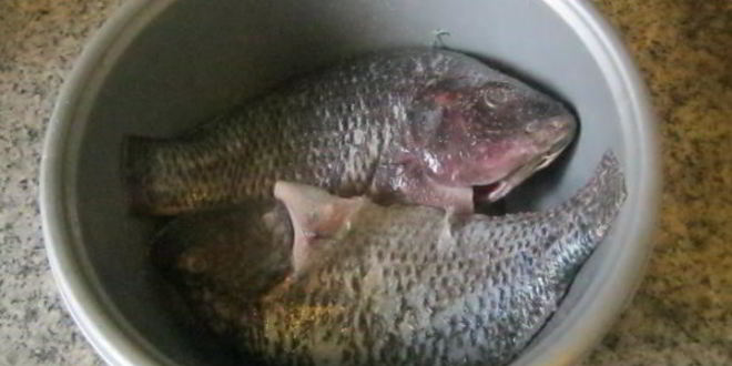 Рецепт рыбы в сливочном масле с вином и чесноком