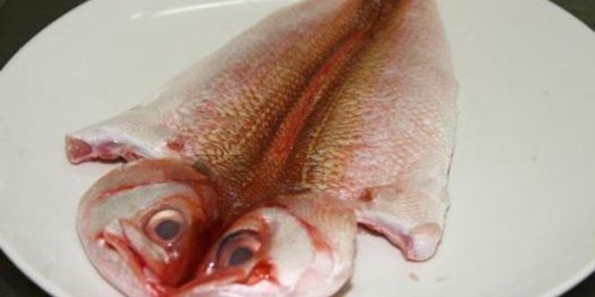 Рецепт морской рыбы фламбе с виски и грушей