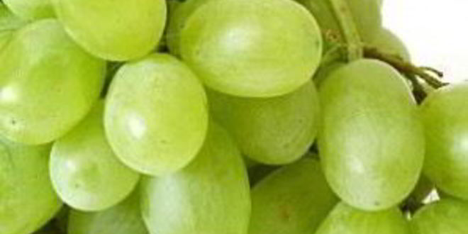 Рецепт коктейля с виноградом