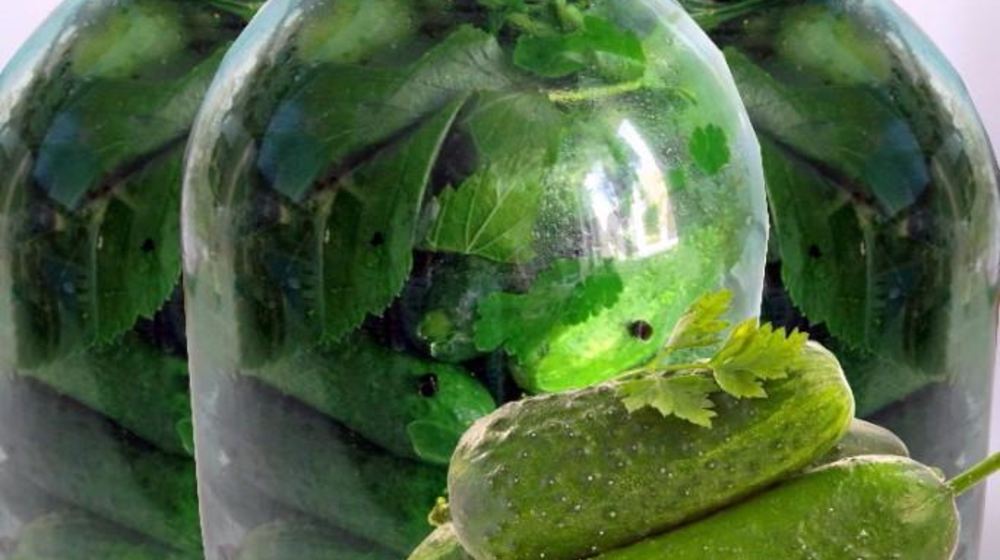 Как приготовить консервированные малосольные хрустящие огурцы с водкой