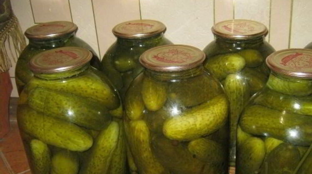 Как приготовить огурцы соленые с водкой