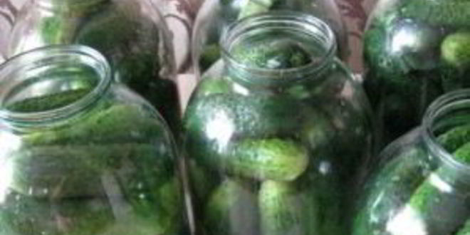 Рецепт огурцов соленых с водкой
