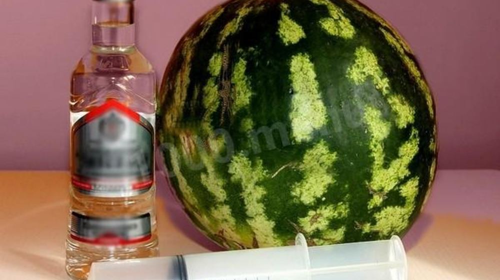 Как приготовить водку в арбузе