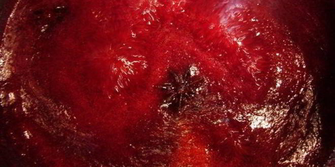 Рецепт желе из красной смородины с водкой