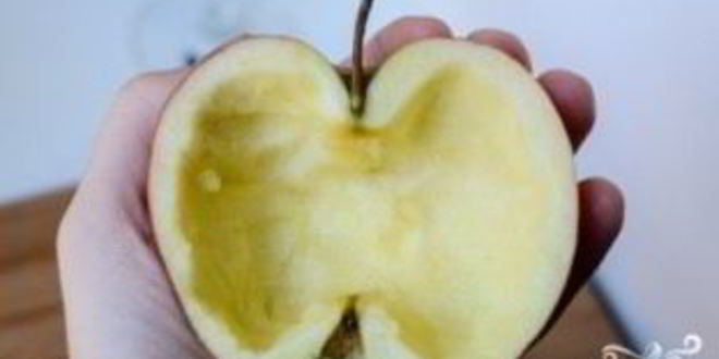 Рецепт желе с водкой