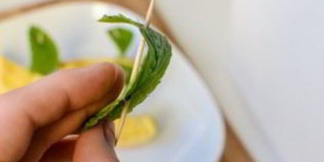 Рецепт желе с водкой