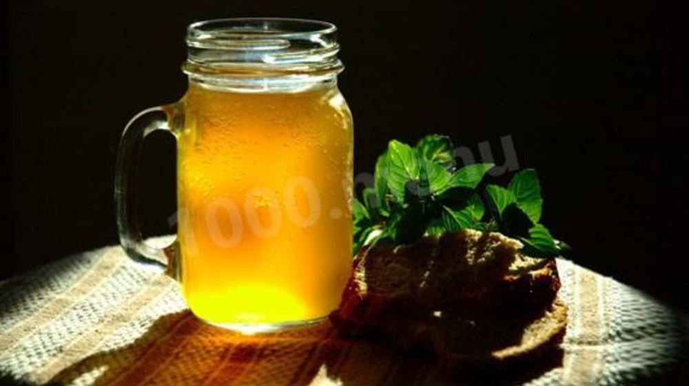 Как приготовить квас болотова на чистотеле