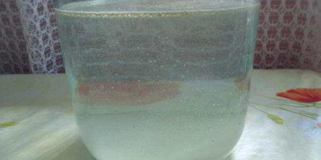 Рецепт кваса домашнего