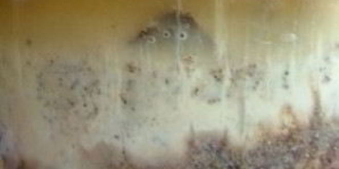 Рецепт кваса из ржаного солода