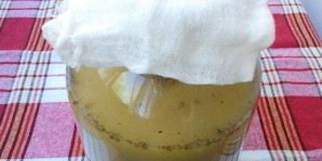 Рецепт кваса из ржаной муки без дрожжей