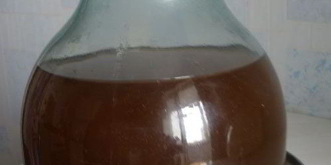 Рецепт кваса на солоде