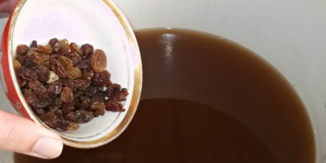 Рецепт кваса за 2 часа