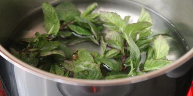 Рецепт мятного ликера