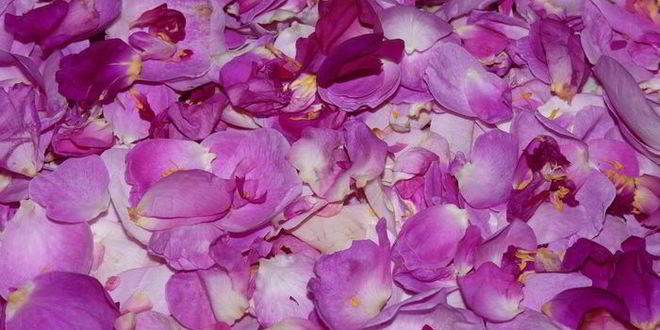 Рецепт розового ликера