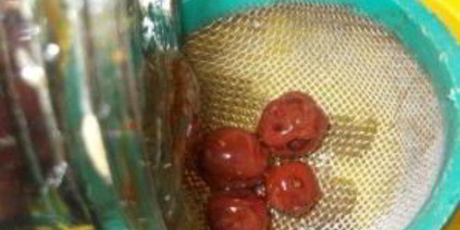 Рецепт вишневого ликера