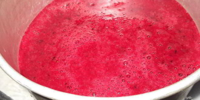 Рецепт ягодно-сливочного ликер дамский каприз