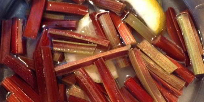 Рецепт концентрата лимонада из ревеня