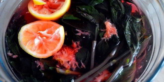 Рецепт лимонада базилик&компания