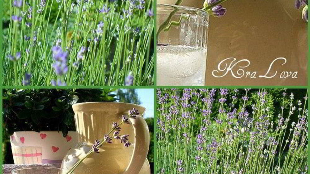 Как приготовить лимонад с лавандой