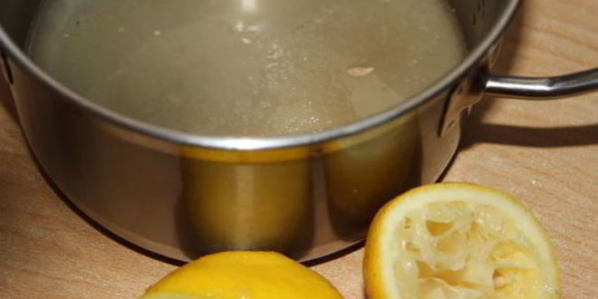 Рецепт лимонада с тархуном и мелисой