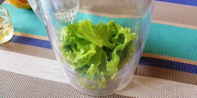 Рецепт лимонада свежесть из листьев салата