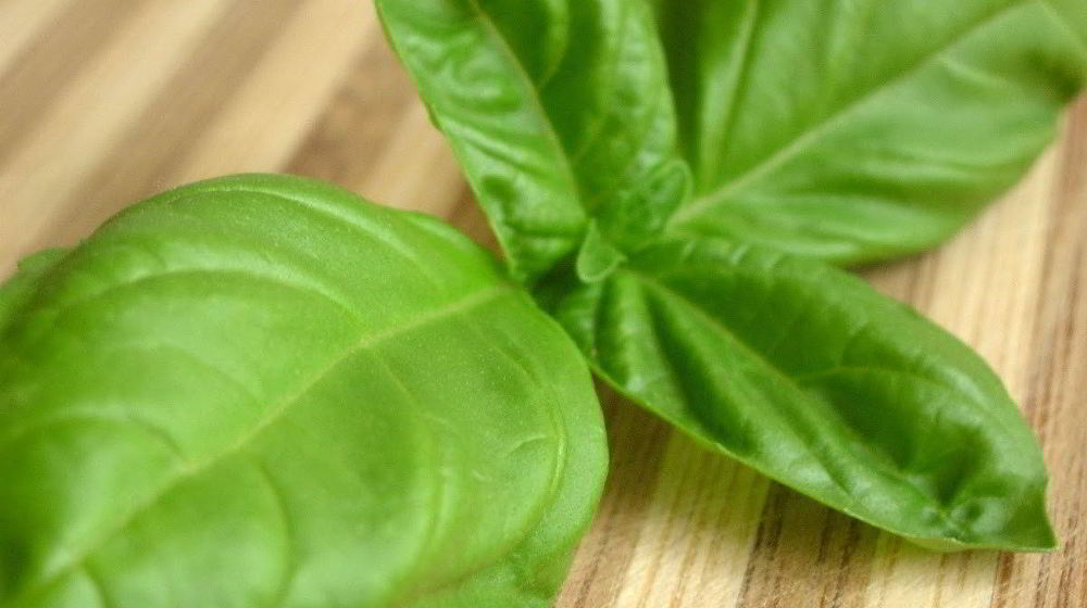 Как приготовить свежий базиликовый лимонад