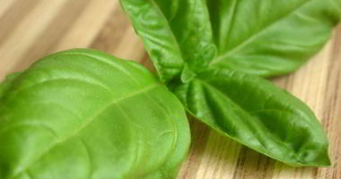 Рецепт Свежего базиликового лимонада