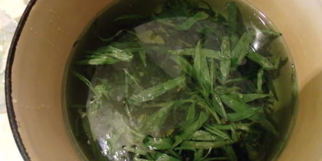 Рецепт тархунового лимонада