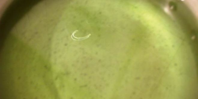 Рецепт тархунового лимонада