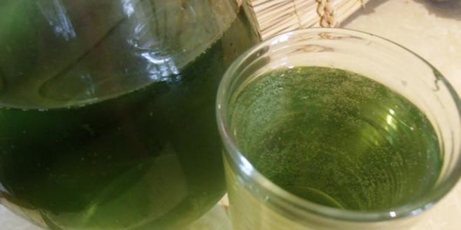 Рецепт тархунового лимонада