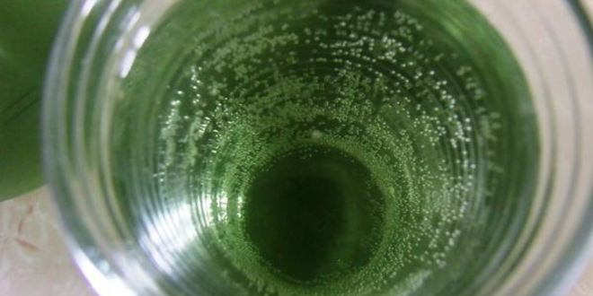 Рецепт тархунового лимонада