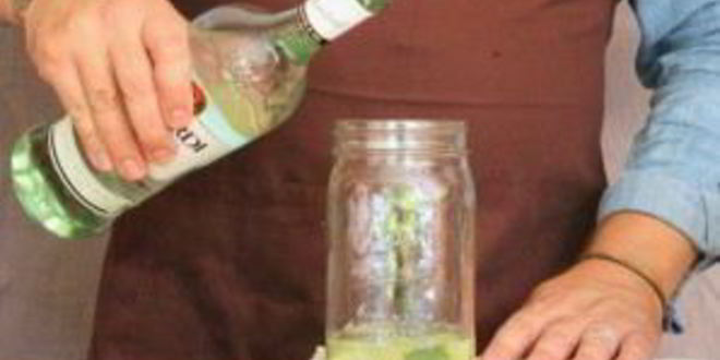 Рецепт мохито с бакарди