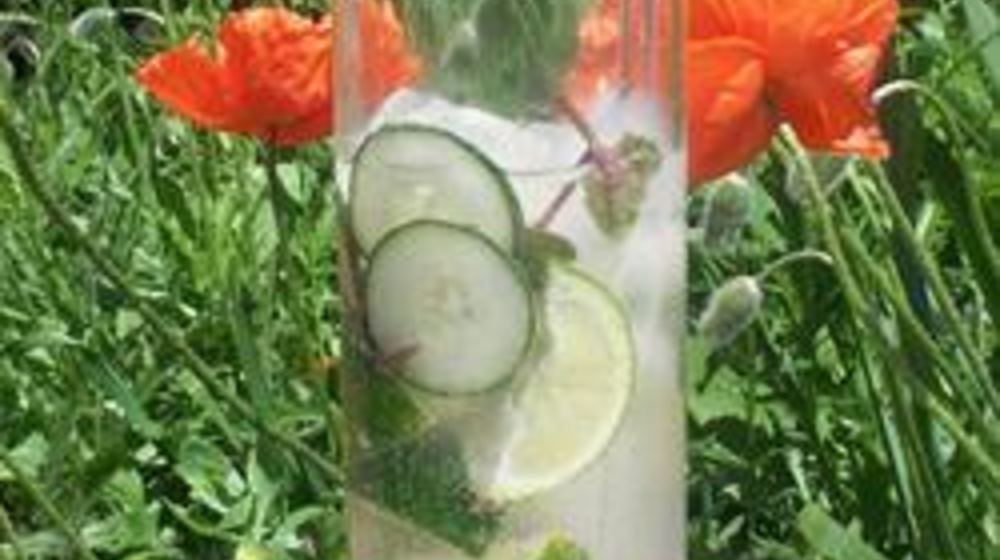 Как приготовить мохито с мятой и свежим огурцом