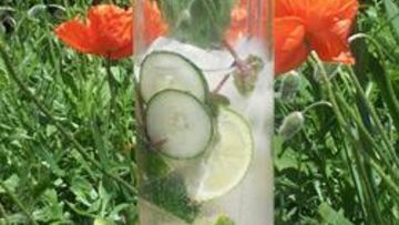 Рецепт Мохито с мятой и свежим огурцом