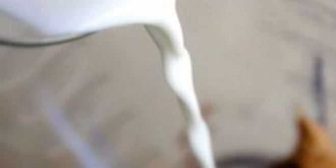 Рецепт молочного коктейля