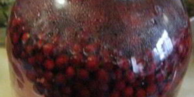 Рецепт брусничного морса