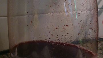 Рецепт Черничного морса