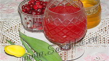 Рецепт Клюквенного морса с медом