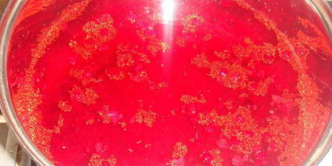 Рецепт клюквенного морса